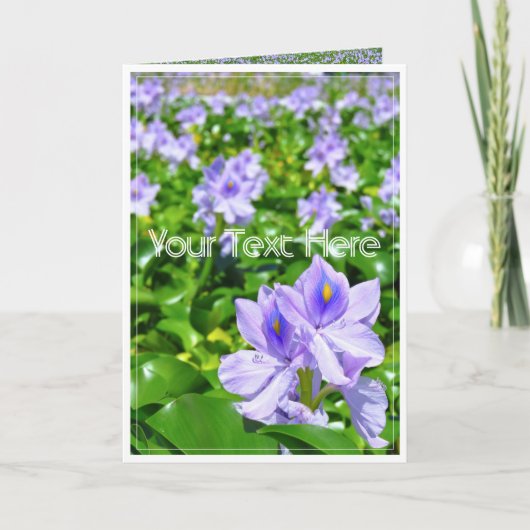 ホテイアオイ KARTE (Vorderseite)