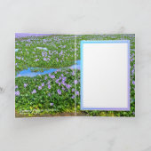 ホテイアオイ KARTE (Innenseite)