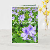 ホテイアオイ KARTE (Gelbe Blume)