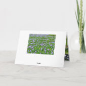 ホテイアオイ KARTE (Rückseite)