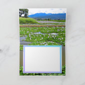 ホテイアオイ KARTE (Innenseite)