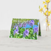 ホテイアオイ KARTE (Gelbe Blume)