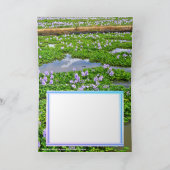 ホテイアオイ KARTE (Innenseite)