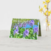 ホテイアオイ KARTE (Gelbe Blume)