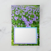 ホテイアオイ KARTE (Innenseite)