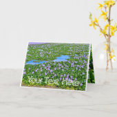 ホテイアオイ KARTE (Gelbe Blume)