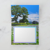 ホテイアオイ KARTE (Innenseite)