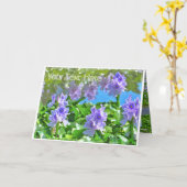 ホテイアオイ KARTE (Gelbe Blume)