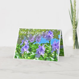 ホテイアオイ KARTE