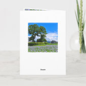 ホテイアオイ KARTE (Rückseite)