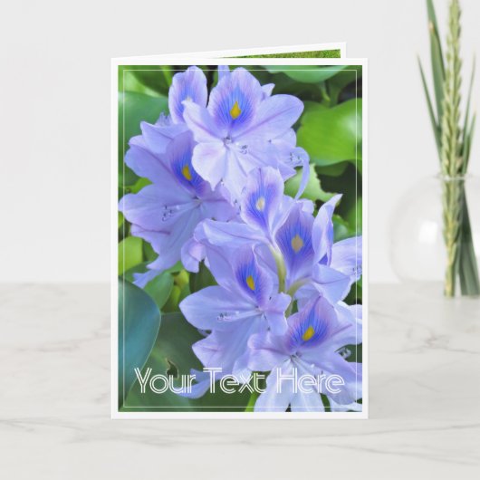 ホテイアオイ KARTE (Vorderseite)