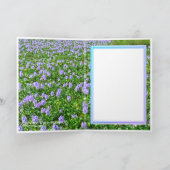 ホテイアオイ KARTE (Innenseite)