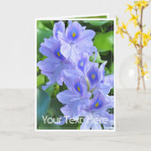 ホテイアオイ KARTE (Gelbe Blume)