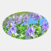 ホテイアオイ OVALER AUFKLEBER (Vorderseite)