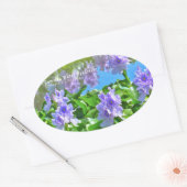 ホテイアオイ OVALER AUFKLEBER (Umschlag)