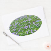 ホテイアオイ OVALER AUFKLEBER (Umschlag)