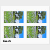 ホテイアオイ RECHTECKIGER AUFKLEBER (Blatt)