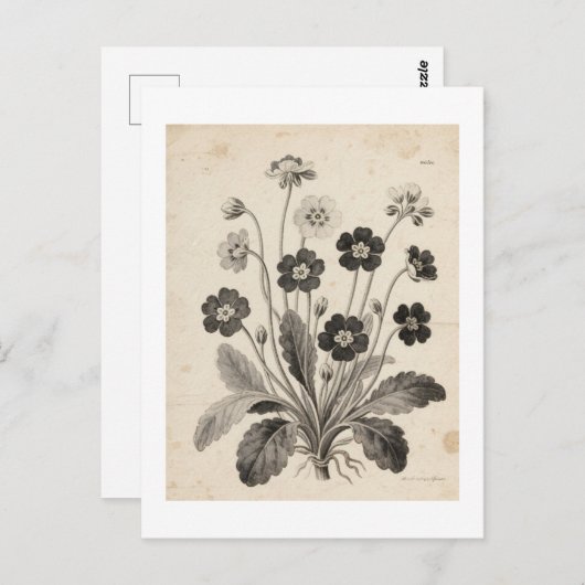 ポストカード POSTKARTE (Vorne/Hinten)