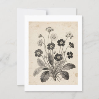 ポストカード POSTKARTE