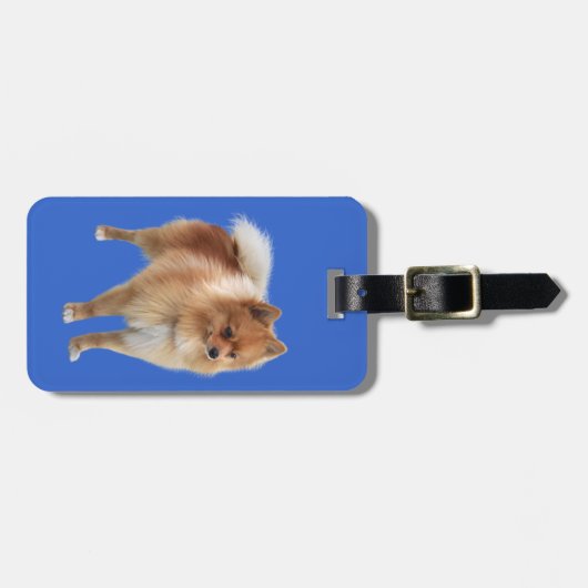 ポメラニアン GEPÄCKANHÄNGER (Vorderseite horizontal)