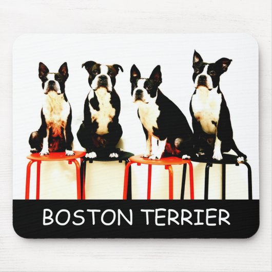 マウス (3), BOSTON TERRIER MOUSEPAD (Vorne)