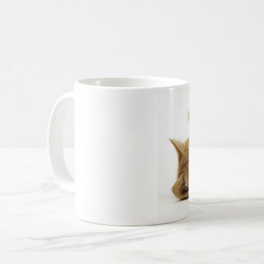 マルチカン子猫 マグカップ KAFFEETASSE (Vorderseite Links)
