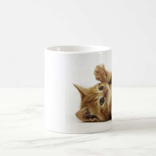 マルチカン子猫 マグカップ KAFFEETASSE (Mittel)