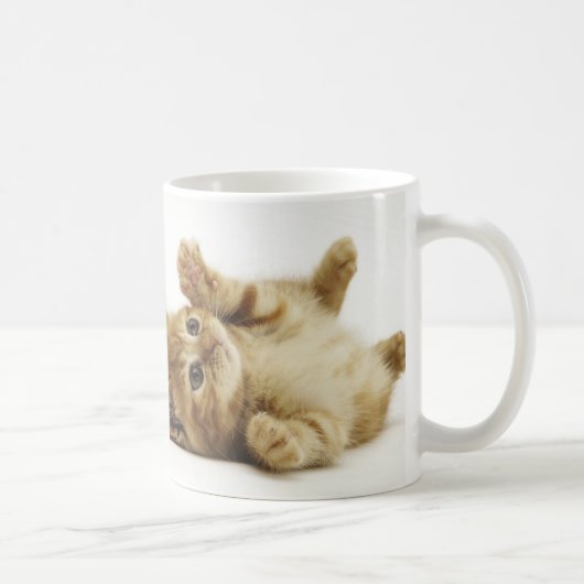 マルチカン子猫 マグカップ KAFFEETASSE (Rechts)