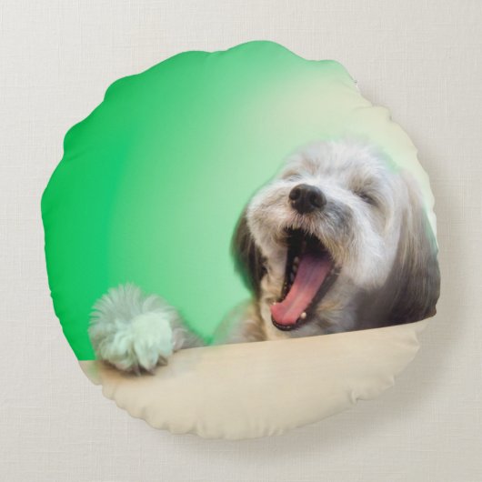 ミックス犬と至福の眠りを(グリーン) RUNDES KISSEN (Rückseite)