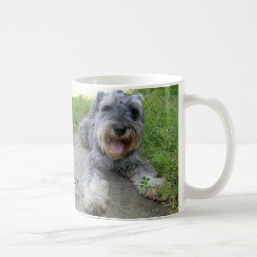 ミニチュアシュナウザー zwergschnauzer (miniature schnauzer) kaffeetasse (Rechts)