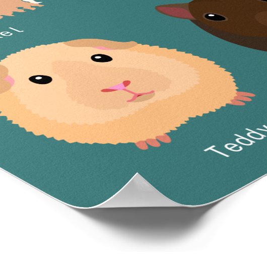 モルモットの種類一覧 POSTER (Ecke)