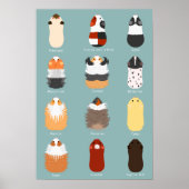 モ モ ト 種 一 の 類 POSTER (Vorne)