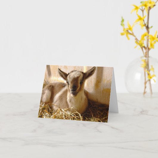 ヤギの赤ちゃん 二つ折りグリーティングカード カード KARTE (Gelbe Blume)