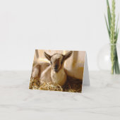 ヤギの赤ちゃん 二つ折りグリーティングカード カード KARTE (Vorderseite)