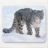 ユキヒョウ MOUSEPAD (Vorne)