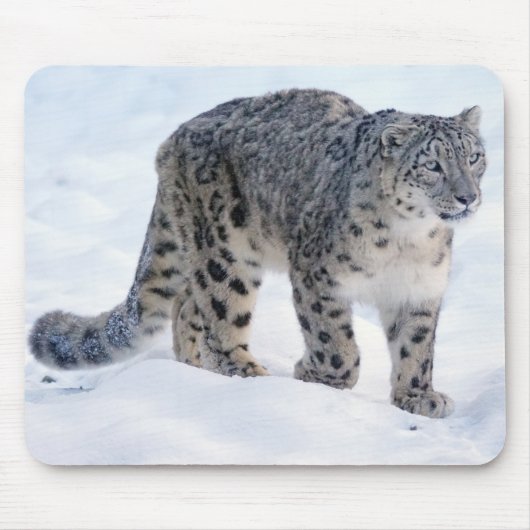 ユキヒョウ MOUSEPAD (Vorne)