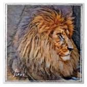 ラ オ タ ル FLIESE (Vorderseite)