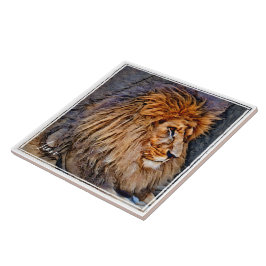 ラ オ タ ル FLIESE