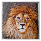 ラ オ タ ル FLIESE (Vorderseite)