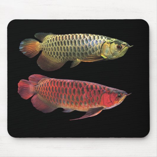 レアゴアデロab202200022222222222222222222222222222222222 mousepad (Vorne)