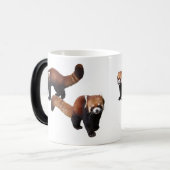 レッサーパンダ VERWANDLUNGSTASSE (Vorderseite Links)