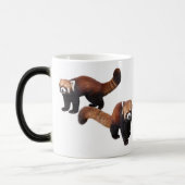 レッサーパンダ VERWANDLUNGSTASSE (Links)