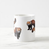 レッサーパンダ VERWANDLUNGSTASSE (Mittel)