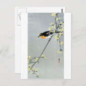 レ ョ ウ 鳥, ギ, Bird auf Forsythia Postkarte (Vorne/Hinten)