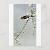 レ ョ ウ 鳥, ギ, Bird auf Forsythia Postkarte (Vorderseite)