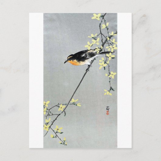 レ ョ ウ 鳥, ギ, Bird auf Forsythia Postkarte (Vorderseite)