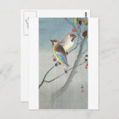 レ mit 古 赤 Waxwings い Postkarte (Vorne/Hinten)