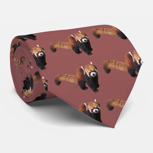 レ vor ダ krawatte (Gerollt)