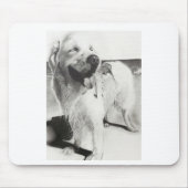 ワンちゃんとの時間 MOUSEPAD (Vorne)