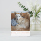 ワ ミ グ雪2019 POSTKARTE (Stehend Vorderseite)